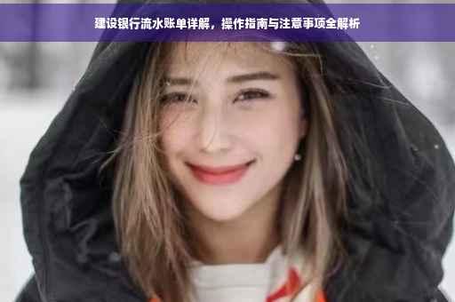 建设银行流水账单详解，操作指南与注意事项全解析
