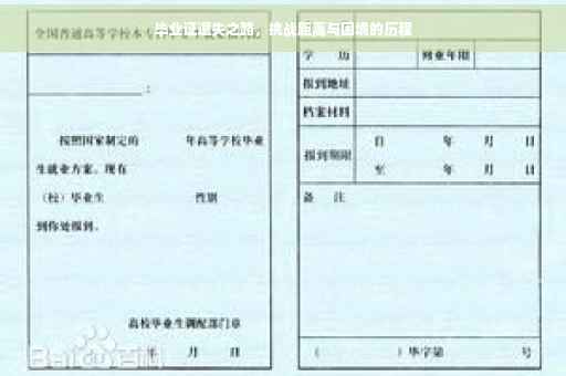 毕业证遗失之路，挑战距离与困境的历程