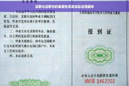 证明与证明书的重要性及其实际应用解析