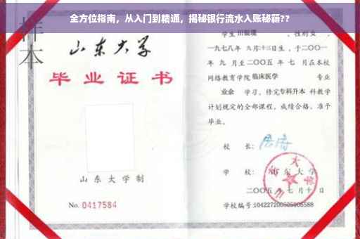 全方位指南，从入门到精通，揭秘银行流水入账秘籍??