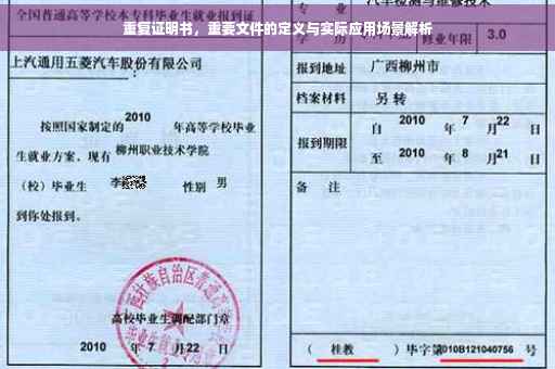 重复证明书，重要文件的定义与实际应用场景解析