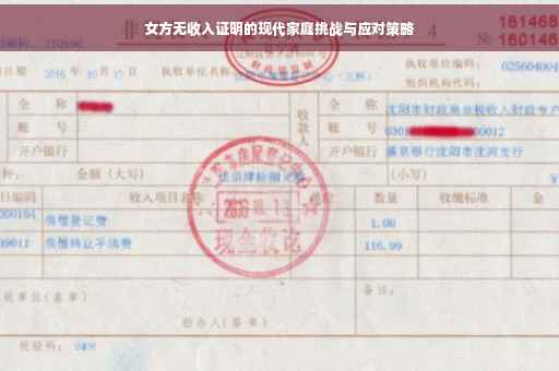 女方无收入证明的现代家庭挑战与应对策略