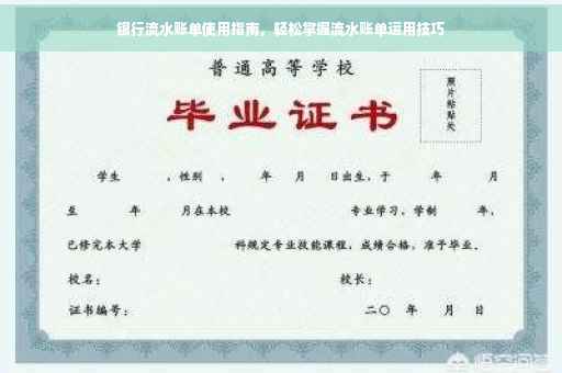 银行流水账单使用指南，轻松掌握流水账单运用技巧
