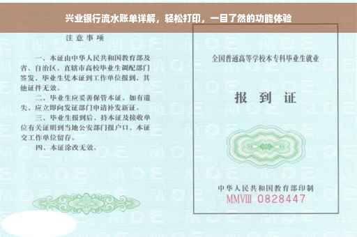 兴业银行流水账单详解，轻松打印，一目了然的功能体验