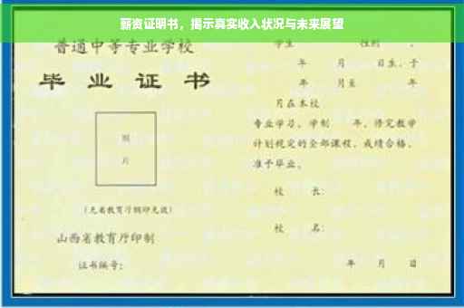 薪资证明书，揭示真实收入状况与未来展望