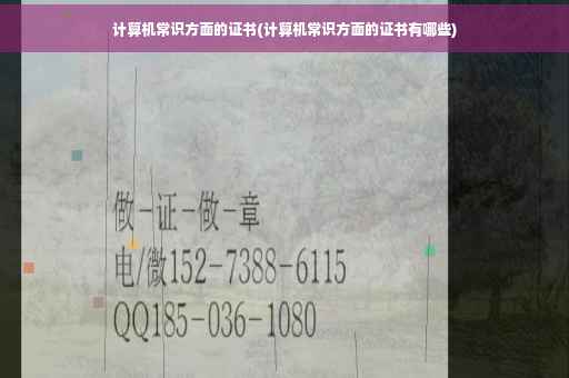 计算机常识方面的证书(计算机常识方面的证书有哪些)