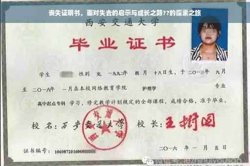丧失证明书，面对失去的启示与成长之路??的探索之旅