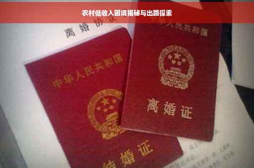 农村低收入困境揭秘与出路探索