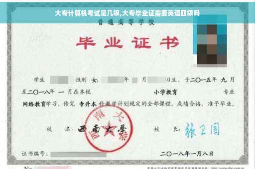 大专计算机考试是几级,大专毕业证需要英语四级吗