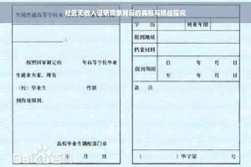 社区无收入证明现象背后的真相与挑战探究