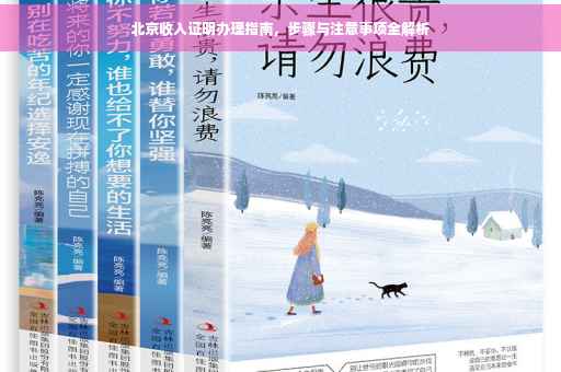 北京收入证明办理指南,步骤与注意事项全解析 北京收入证明办理指南,步骤与注意事项全解析