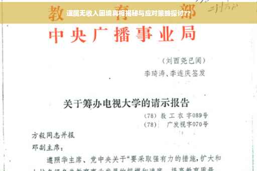 遗属无收入困境真相揭秘与应对策略探讨??