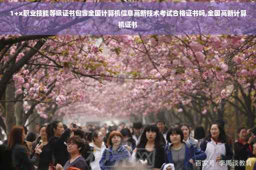 1+x职业技能等级证书包含全国计算机信息高新技术考试合格证书吗,全国高新计算机证书