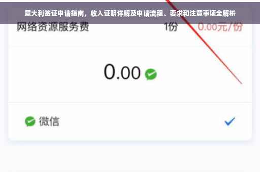 意大利签证申请指南，收入证明详解及申请流程、要求和注意事项全解析