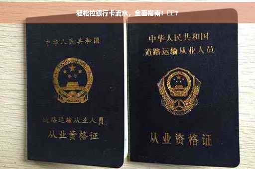 轻松拉银行卡流水，全面指南！⚡️?