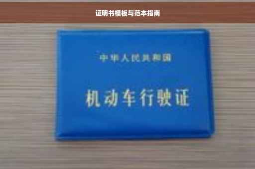 证明书模板与范本指南