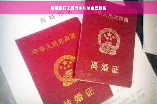 招商银行工资流水账单全面解析