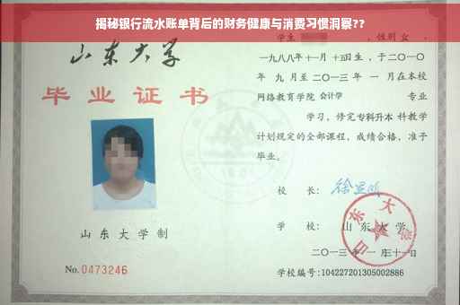 揭秘银行流水账单背后的财务健康与消费习惯洞察??