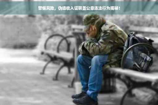 警惕风险，伪造收入证明盖公章违法行为揭秘！