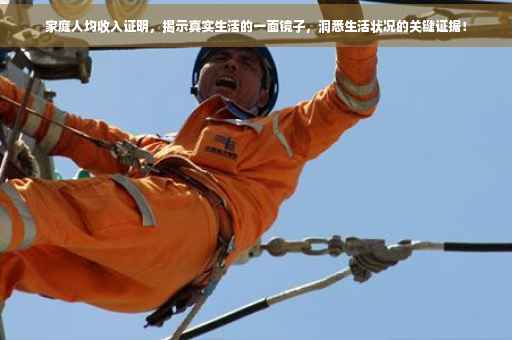 家庭人均收入证明，揭示真实生活的一面镜子，洞悉生活状况的关键证据！