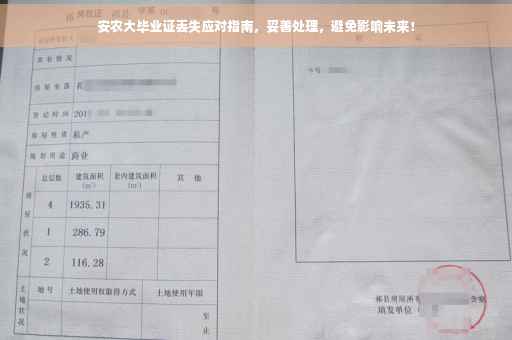 安农大毕业证丢失应对指南，妥善处理，避免影响未来！