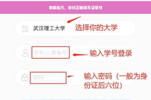 掌握技巧，如何正确填写证明书