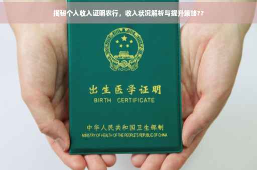 揭秘个人收入证明农行，收入状况解析与提升策略??