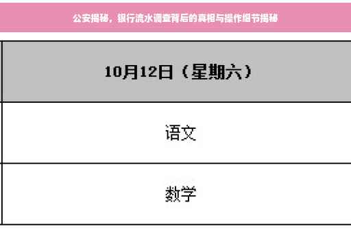 公安揭秘，银行流水调查背后的真相与操作细节揭秘