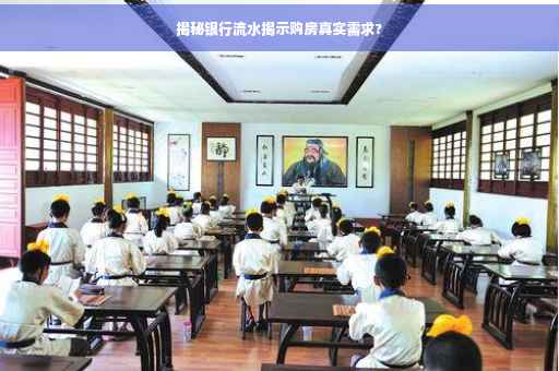 揭秘银行流水揭示购房真实需求?