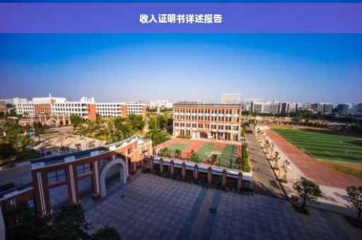 收入证明书详述报告