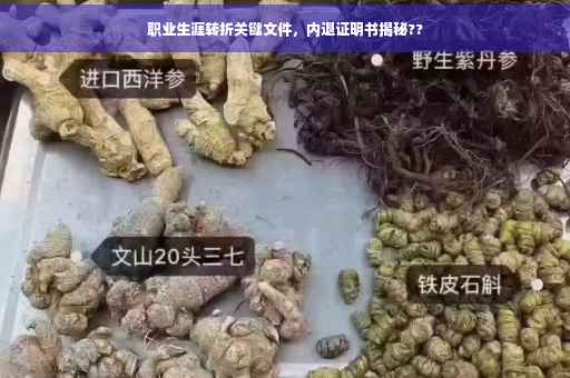 职业生涯转折关键文件，内退证明书揭秘??