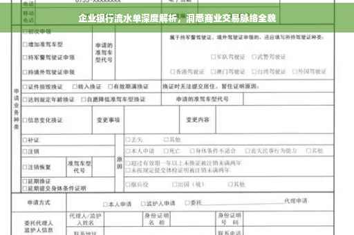 企业银行流水单深度解析，洞悉商业交易脉络全貌