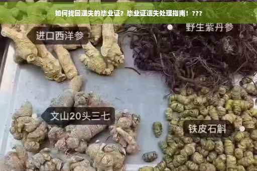如何找回遗失的毕业证？毕业证遗失处理指南！???
