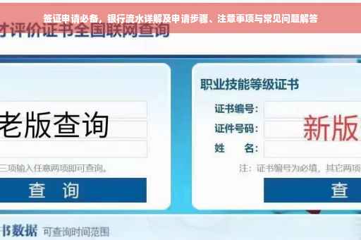 签证申请必备，银行流水详解及申请步骤、注意事项与常见问题解答