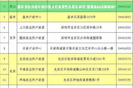 解析劳动仲裁中银行流水的重要性及相关事项?蝶舞金融证据揭秘?