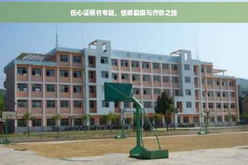 伤心证明书专辑，情感裂痕与疗愈之旅