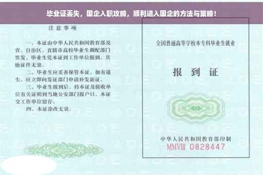毕业证丢失，国企入职攻略，顺利进入国企的方法与策略！