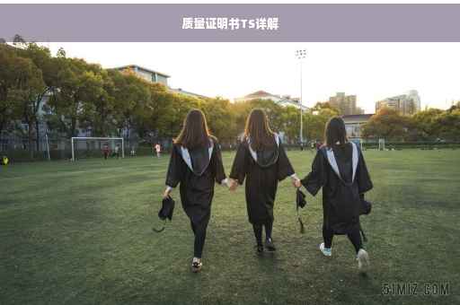 质量证明书TS详解