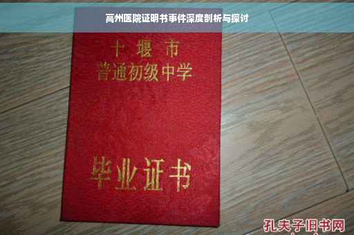 高州医院证明书事件深度剖析与探讨