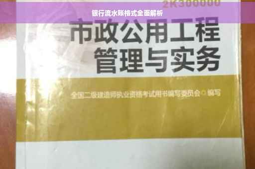 银行流水账格式全面解析