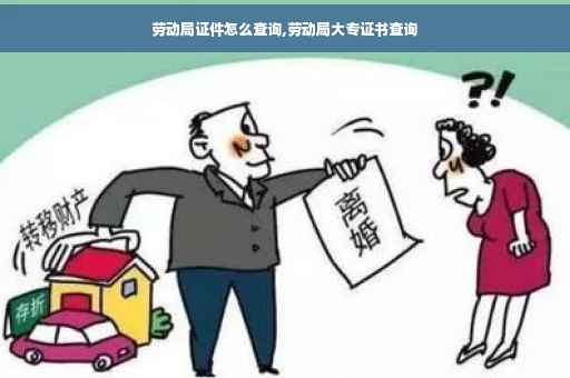 劳动局证件怎么查询,劳动局大专证书查询