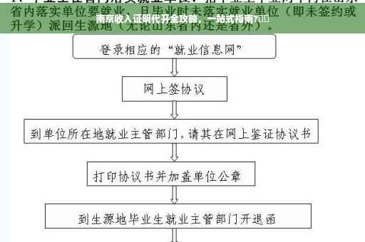 南京收入证明代开全攻略，一站式指南?⚡️