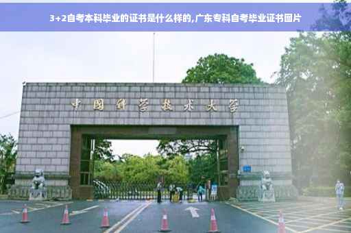 3+2自考本科毕业的证书是什么样的,广东专科自考毕业证书图片