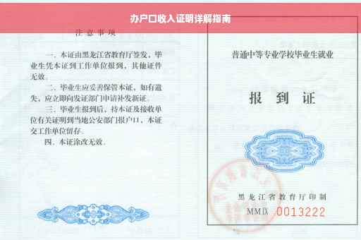 办户口收入证明详解指南