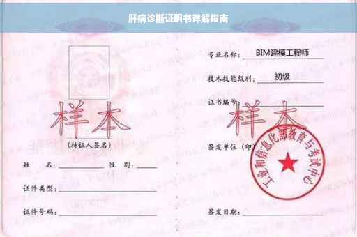 肝病诊断证明书详解指南