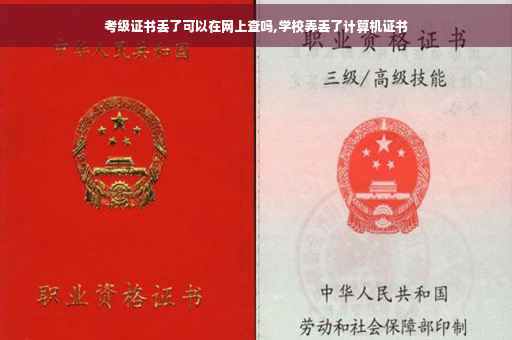 考级证书丢了可以在网上查吗,学校弄丢了计算机证书