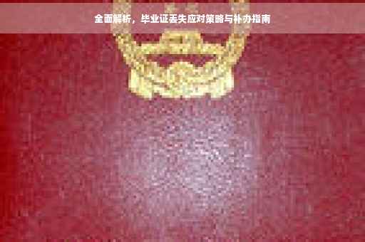 全面解析，毕业证丢失应对策略与补办指南