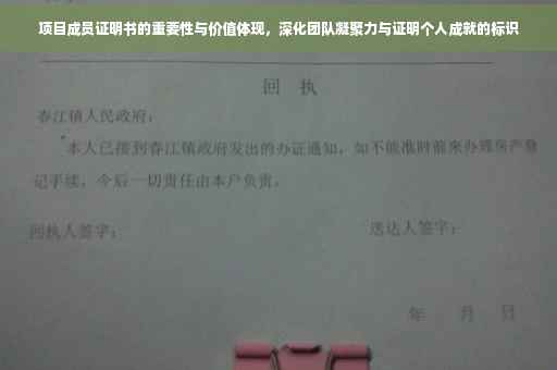 项目成员证明书的重要性与价值体现，深化团队凝聚力与证明个人成就的标识