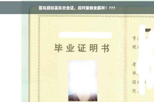 菜鸟驿站丢失毕业证，应对策略全解析！???