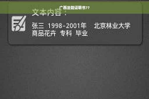广西法院证明书??